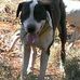 Ben Kirkpatrick - Facebook