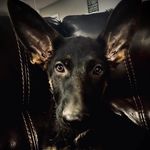 Benjamin Kirkpatrick - @kirkpatrick_benjamin - Instagram