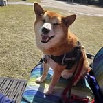 Benjamin D. Kiser - @skunkpunk419 - Instagram