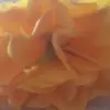 káiser Benjamin - @kiser.benjamin4 - TikTok