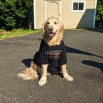 Benjamin Kitchens - @benjamin_kitchens803 - Instagram