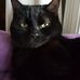 Benjamin Kitselaar - Facebook