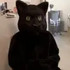 Benjamin Cat - @benjaminkitty - TikTok