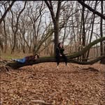 @benjamin_kittler - Instagram