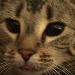 Benjamin Klassen - @ohmygodicantspell - Instagram