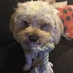 Benjamin Klock - @klocky2 - Instagram
