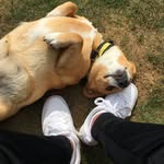 Benjamin Kost - @benjaminkstt1 - Instagram