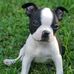 Benjamin Kowalski - Facebook