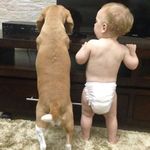 Guido Benjamin Krebs Krebs - @guidobenjaminkrebs - Instagram