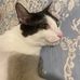 Benjamin  Kuo - Facebook
