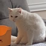 Benjamin Kuo - @sio10_2023_429 - Instagram