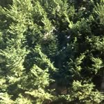 Benjamin Labrecque - @ben.labrecque - Instagram