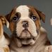 Benjamin Landa - Facebook