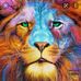 Benjamin Landa - Facebook