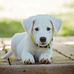 Benjamin Landau - Facebook