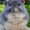 Benjamin Landman - @benjamin.landman5 - TikTok