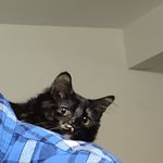 Benjamin Lapp - @beanjamin_lapp - Instagram