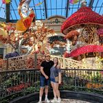 Benjamin Lapworth - @benjamin_lappy - Instagram