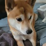 Benjamin Lark - Facebook