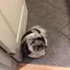 benjamin_lassen - @benjamin_lassen - TikTok