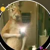 benjaminalatorre2 - @benjaminalatorre6 - TikTok