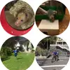Benjamin Laufer - @wissenschaumkraut - TikTok