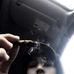 Benjamin Lavelle - Facebook