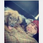 Benjamin Pino Lavin - @pinolavin - Instagram