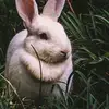 Benjamin Laws - @bllaws - TikTok