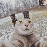 Benjamin Lawson Davis - @benjaminlawsondavis - Instagram