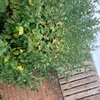Benjamin_Clayton217 - @benjamin_clayton2 - TikTok