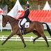 Benjamin Leahy Eventing - Facebook