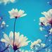 Ben Lovel - Facebook