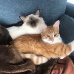 Maddison & Benjamin Leaver - @2cats.2cyclists - Instagram