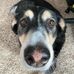 Benjamin LeBaron - Facebook