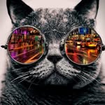 Benjamin Lébely - @benjaminlebely - Instagram