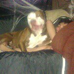 benjamin lipman - @blip69 - Instagram