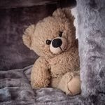Little_Bear_Benjamin - @little_bear_benjamin - Instagram