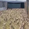 Benjamin Lloyd - @benjamin.lloyd6 - TikTok