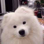 Benjamin Lock - @lock_benjamin - Instagram
