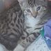 Benjamin Ludwig - Facebook