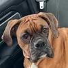 benjaminludwig491 - @benjaminludwig491 - TikTok