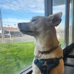 @benjamin_lyon_hedgepeth - Instagram