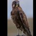 Benjamin Mack - Facebook