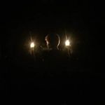 Benjamin Madsen - @blom.madsen - Instagram