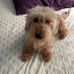 Benjamin Majewski - Facebook