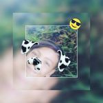 benjamin - @benjamin_marker_06 - Instagram