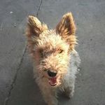 Benjamin hackears marronkle - @benjaminmarronkle - Instagram