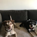 Benjamin Mavis Buttigieg - @ben.and.mavis - Instagram
