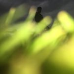 Ben McCarthy - @benjamin_mccarthy01 - Instagram